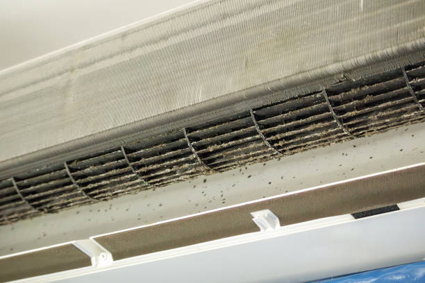 Best Dryer Vent Cleaning Services  in Bountiful, UT